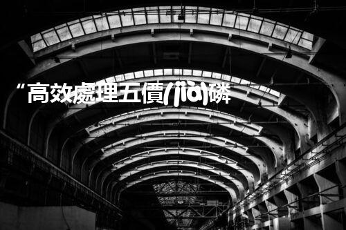 “高效處理五價(jià)磷廢水，保護(hù)水環(huán)境”